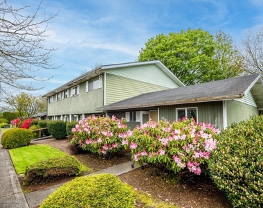 804 Chestnut Dr - Photo Thumbnail 4