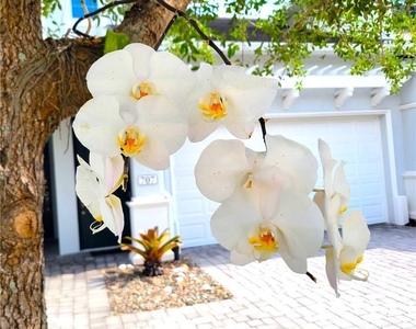 6954 Avalon Circle - Photo Thumbnail 16