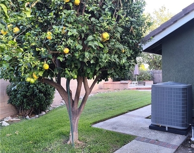 6953 Saddleback Place - Photo Thumbnail 46