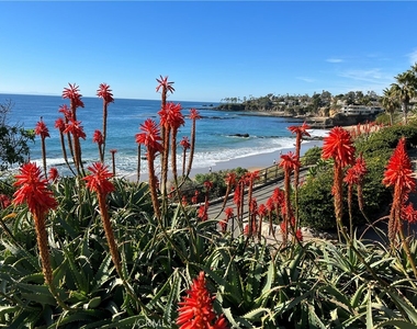 251 Lower Cliff - Photo Thumbnail 16