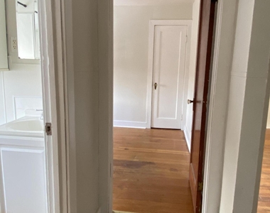 18 Lily Street - Photo Thumbnail 14