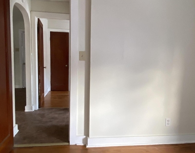 18 Lily Street - Photo Thumbnail 12