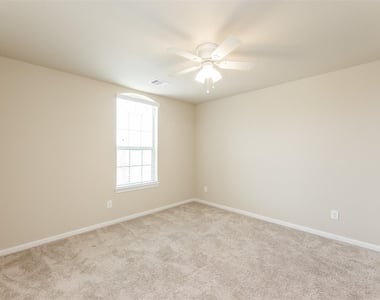 16915 Sedum Green - Photo Thumbnail 22