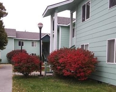 209 Canyon Street - Photo Thumbnail 9