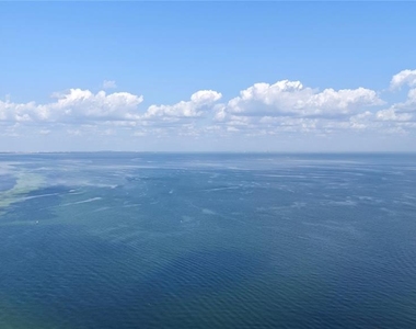 300 Beach Drive Ne - Photo Thumbnail 30