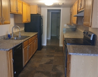4529 Del Oro Drive - Photo Thumbnail 4