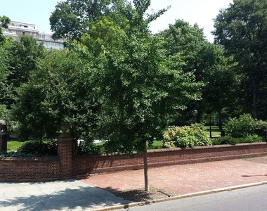 1316 Pine Street - Photo Thumbnail 11