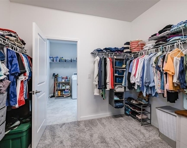 31565 Cannon Rush Drive - Photo Thumbnail 19