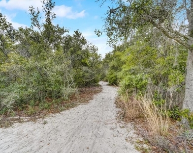 7233 Branchtree Drive - Photo Thumbnail 56