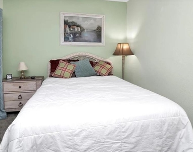 19335 Water Oak Drive - Photo Thumbnail 6