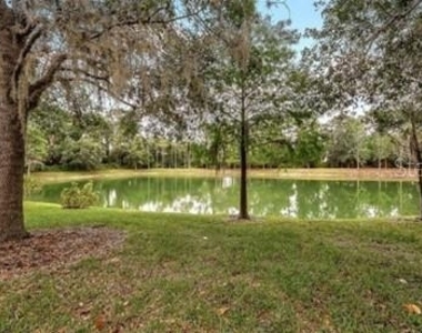 8128 Villa Grande Court - Photo Thumbnail 32