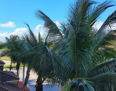 1064 N Tamiami Trail - Photo Thumbnail 11