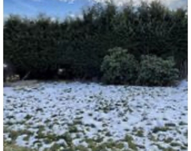 42 Miriam Street - Photo Thumbnail 7