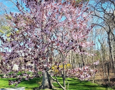 23 N Westbury Road - Photo Thumbnail 17