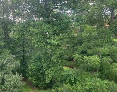 2804 Cambridge Drive - Photo Thumbnail 33