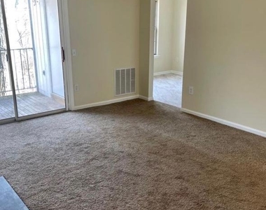 20253 Shipley Terrace - Photo Thumbnail 3