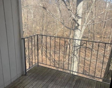 20253 Shipley Terrace - Photo Thumbnail 5