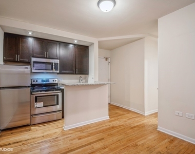 1504 N Dearborn Parkway - Photo Thumbnail 2