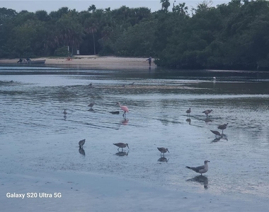 360 Gulf Of Mexico Drive - Photo Thumbnail 68