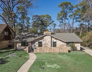 20 Woody Creek Drive - Photo Thumbnail 5