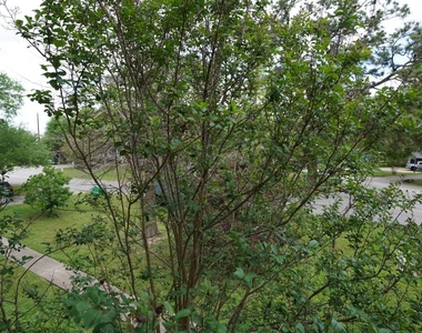 3309 Lawrence Street - Photo Thumbnail 12