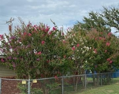 104 County Road 1296 - Photo Thumbnail 5