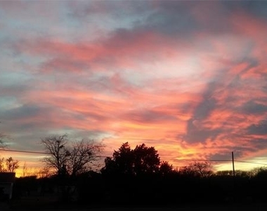 104 County Road 1296 - Photo Thumbnail 26