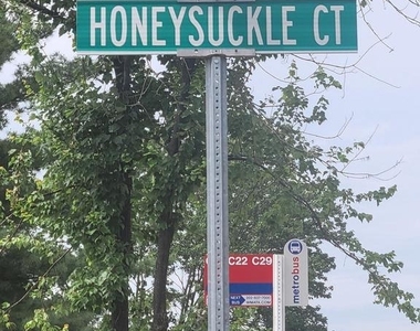 11425 Honeysuckle Court - Photo Thumbnail 14