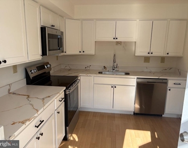 19505 Turtle Dove Terrace - Photo Thumbnail 2