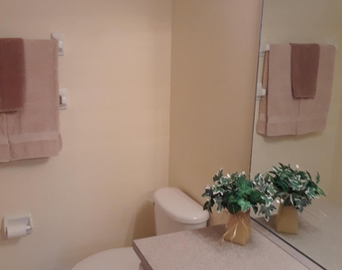 1359 Hampton Park Lane - Photo Thumbnail 5