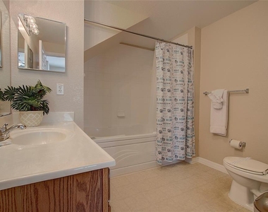 4003 San Sabastian Drive - Photo Thumbnail 3