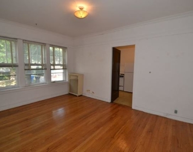 5023 N Winchester Avenue - Photo Thumbnail 8