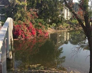 1645 Spoonbill Ln - Photo Thumbnail 22