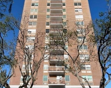 4015 Bayshore Boulevard - Photo Thumbnail 15