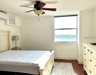 4015 Bayshore Boulevard - Photo Thumbnail 2