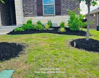 3812 Chalk Hill Avenue - Photo Thumbnail 27