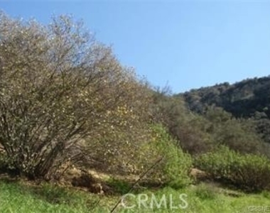 29716 Jackson - Photo Thumbnail 4