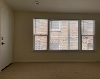 11137 S Emerald Avenue - Photo Thumbnail 6