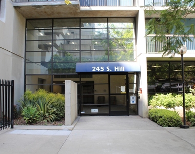 255 S Hill St - Photo Thumbnail 6