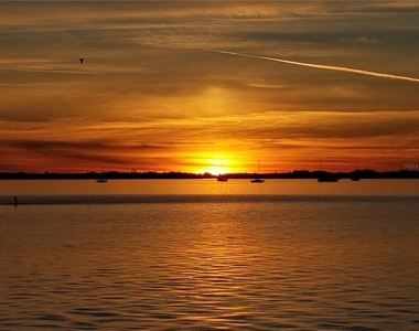 2700 Bayshore Boulevard - Photo Thumbnail 20