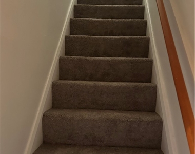 208 W Elizabeth St. - Photo Thumbnail 19