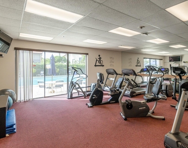 10624 Tropic Palm Avenue - Photo Thumbnail 32