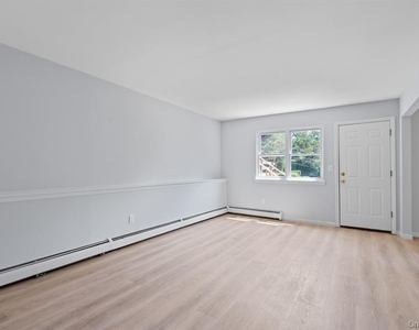 49 Georgia Street - Photo Thumbnail 4
