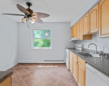 49 Georgia Street - Photo Thumbnail 12