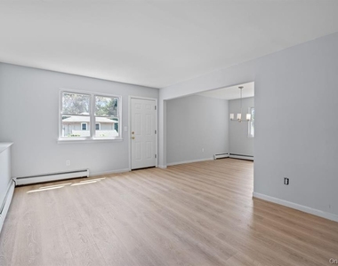 49 Georgia Street - Photo Thumbnail 5