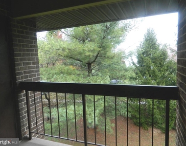 7925 Coriander Drive - Photo Thumbnail 5