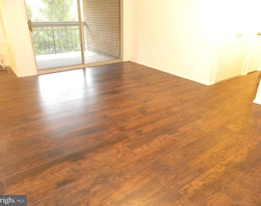 7925 Coriander Drive - Photo Thumbnail 8
