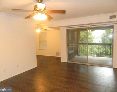 7925 Coriander Drive - Photo Thumbnail 2