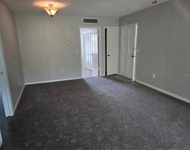 10342 Carrollwood Lane - Photo Thumbnail 7