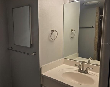 10342 Carrollwood Lane - Photo Thumbnail 14